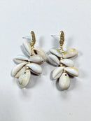 Aretes de Concha