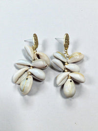 Aretes de Concha