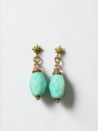 Aretes de Estrella