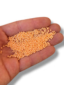 10gr Preciosa Seed Cuentas  11/0 16992