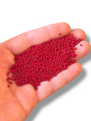 10gr Preciosa Seed Cuentas 11/0 46316