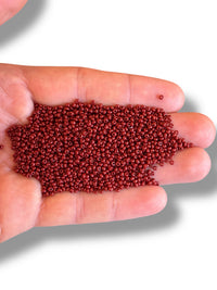 10gr Preciosa Seed Cuentas 11/0 33040