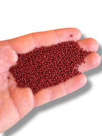 10gr Preciosa Seed Cuentas 11/0 33040