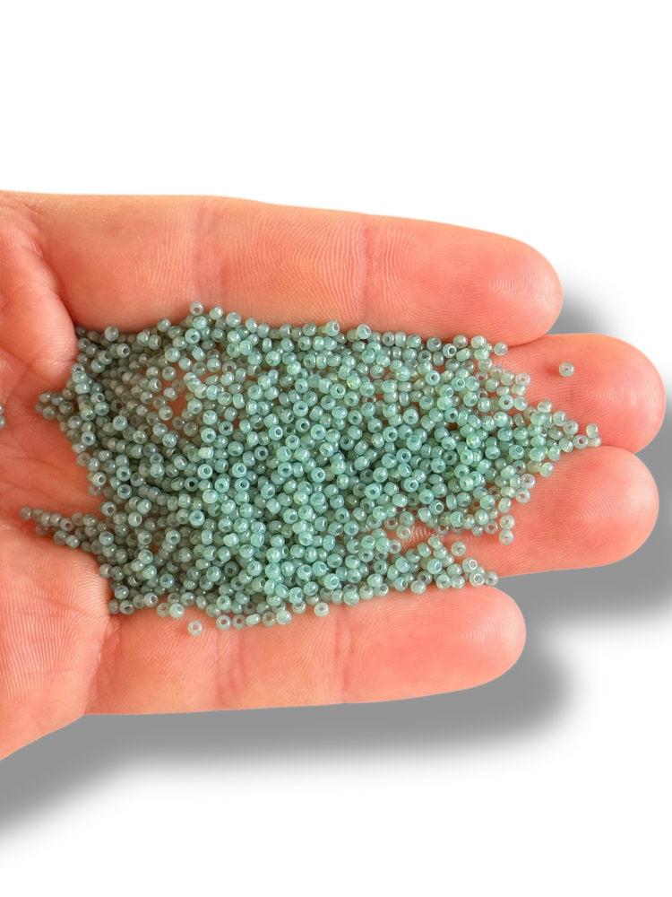 10gr Cuentas de Semilla Preciosa 11/0 02663