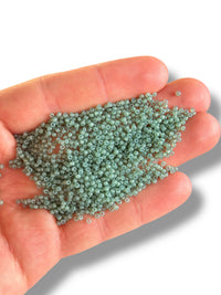 10gr Cuentas de Semilla Preciosa 11/0 02663