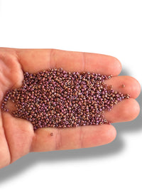 10gr Preciosa Seed Cuentas 11/0 14600
