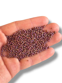10gr Preciosa Seed Cuentas 11/0 14600
