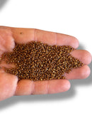 10gr Preciosa Seed Cuentas 11/0 06806