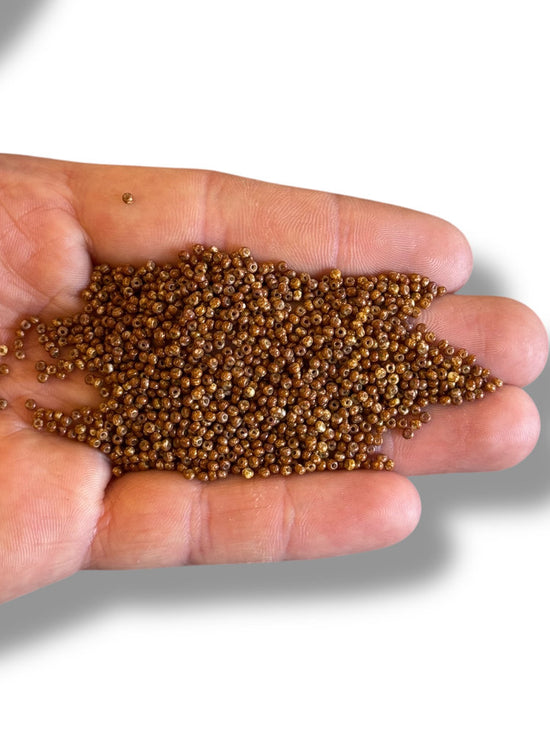 10gr Preciosa Seed Beads  11/0 06806