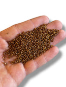 10gr Preciosa Seed Cuentas 11/0 06806