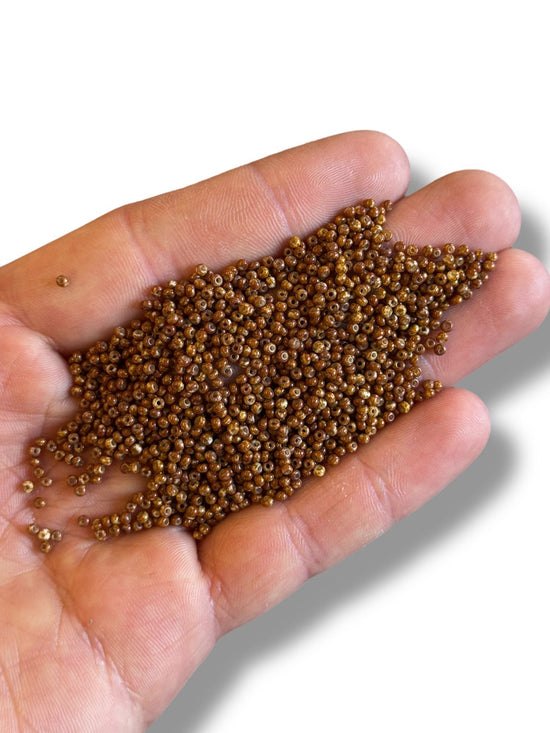 10gr Preciosa Seed Beads  11/0 06806
