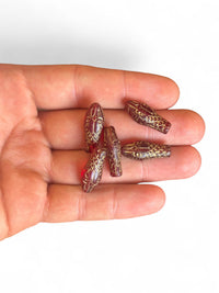 10gr Czech Glass Beads