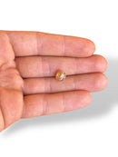 Charm Gold Plated